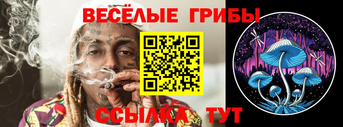 Псилоцибиновые грибы Magic Shrooms  Вход с VPN  Полысаево 